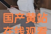 国产黄站,探索中国网络文化新趋势